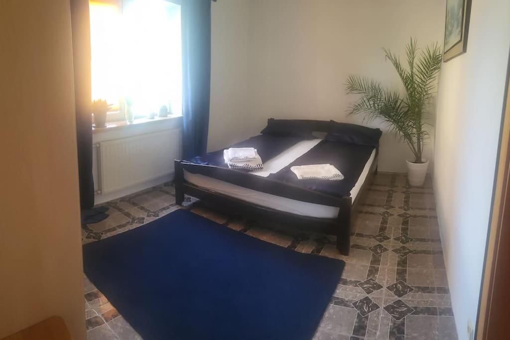 Babciahouse Villa Augustów Buitenkant foto